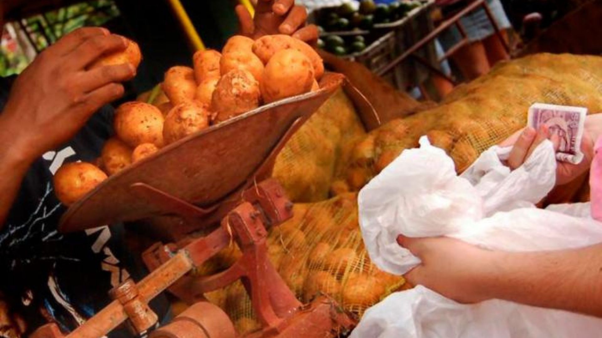 Régimen incrementa precio de la papa